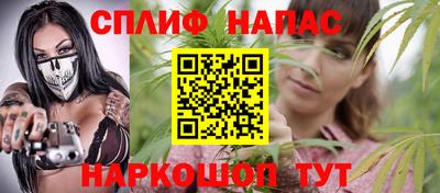 mdpv Краснознаменск