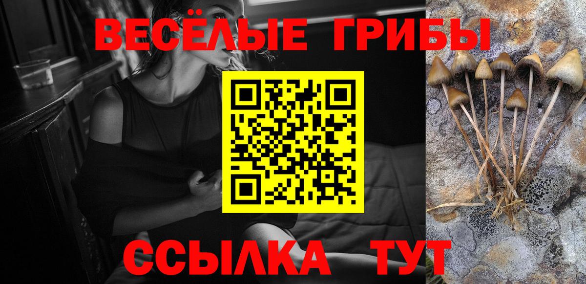 Псилоцибиновые грибы Psilocybe  Псилоцибиновые грибы ЛСД  Вход с VPN  Ирбит 